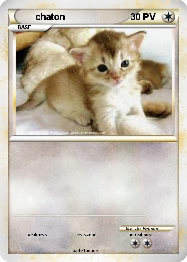 Pokemon chaton