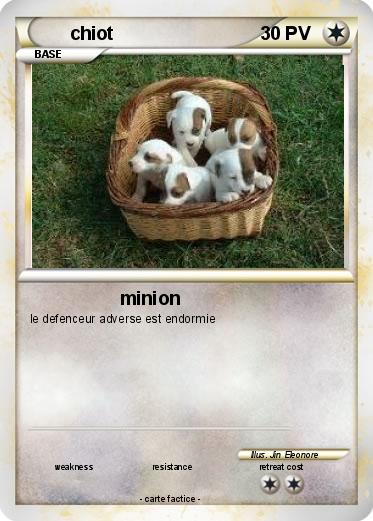 Pokemon chiot