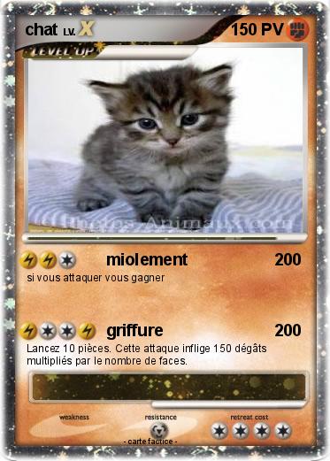 Pokemon chat