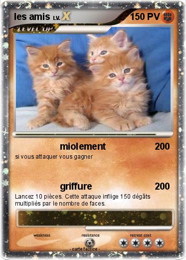 Pokemon les amis