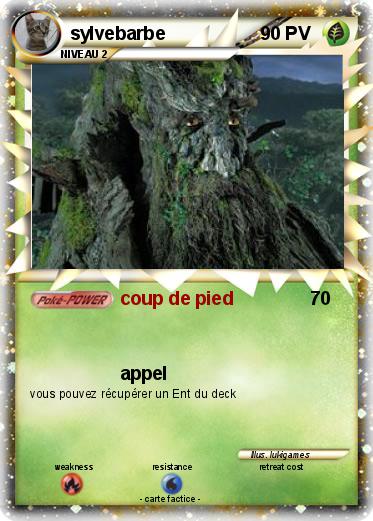 Pokemon sylvebarbe