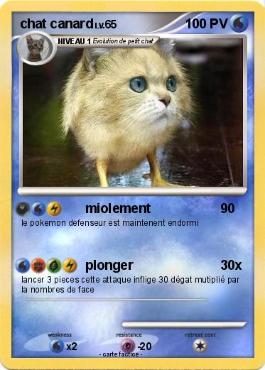 Pokemon chat canard