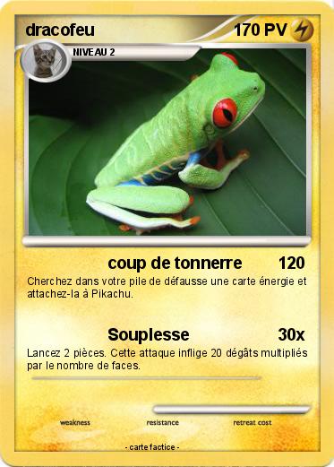 Pokemon dracofeu