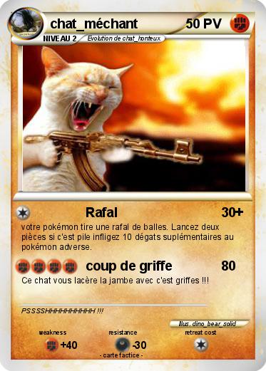 Pokemon chat_méchant