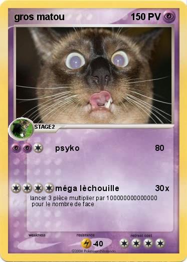 Pokemon gros matou
