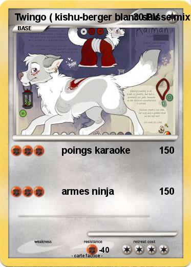 Pokemon Twingo ( kishu-berger blanc suisse mix )