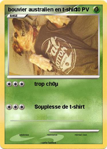 Pokemon bouvier australien en t-shirt