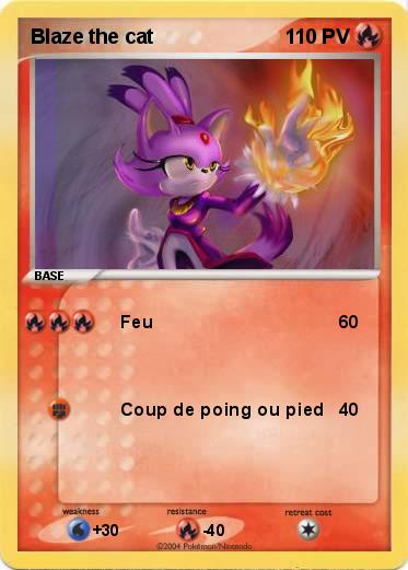 Pokemon Blaze the cat
