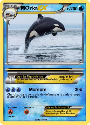 Pokemon Orka
