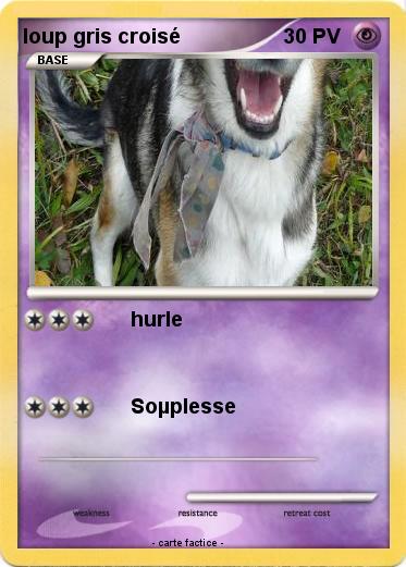 Pokemon loup gris croisé