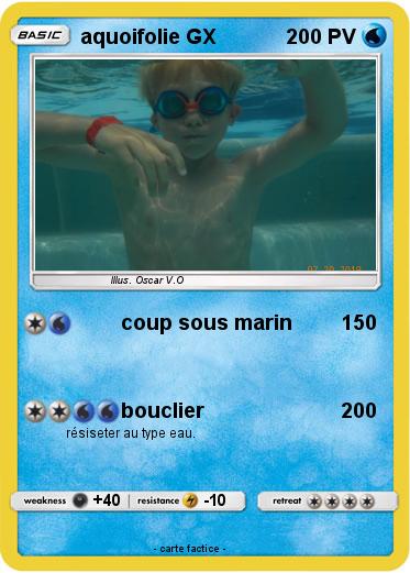 Pokemon aquoifolie GX