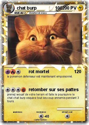 Pokemon chat burp               100