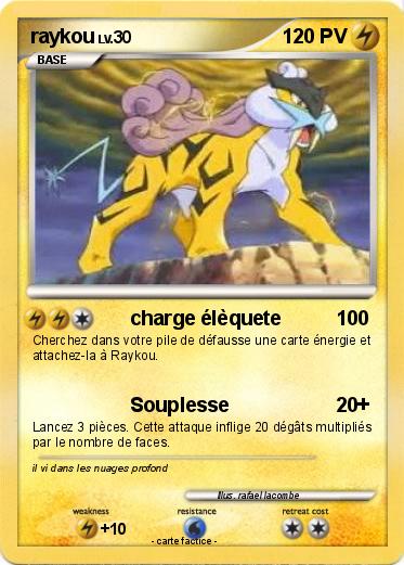 Pokemon raykou