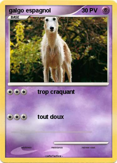 Pokemon galgo espagnol