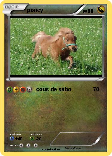 Pokemon poney