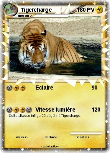 Pokemon Tigercharge