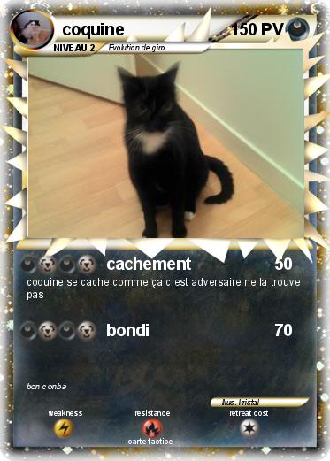 Pokemon coquine