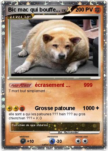 Pokemon Bic mac qui bouffe...