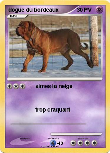 Pokemon dogue du bordeaux