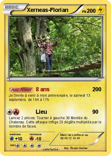 Pokemon Xerneas-Florian