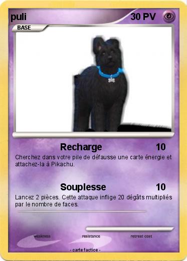 Pokemon puli