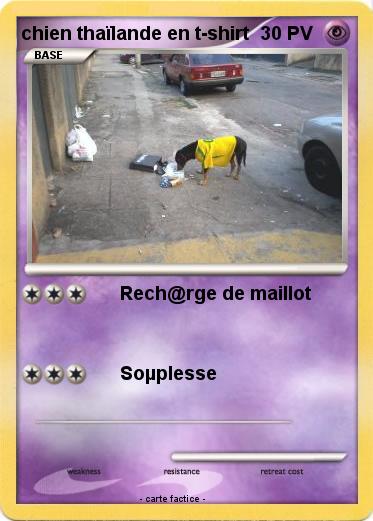Pokemon chien thaïlande en t-shirt