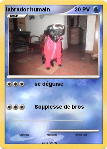 Pokemon labrador humain