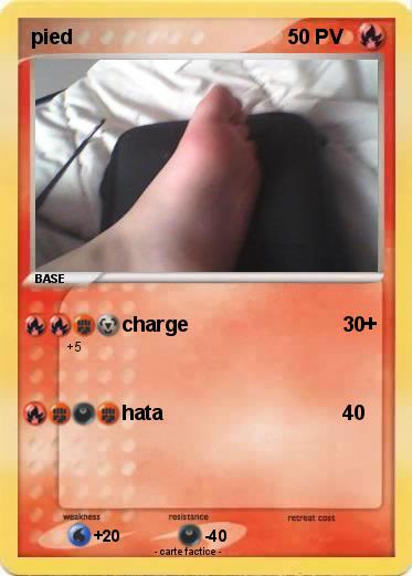 Pokemon pied