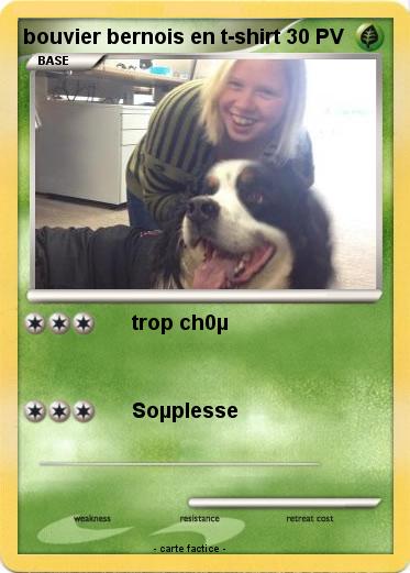 Pokemon bouvier bernois en t-shirt