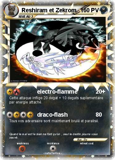Pokemon Reshiram et Zekrom