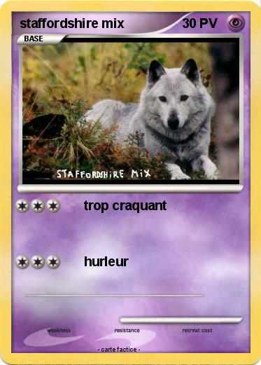 Pokemon staffordshire mix