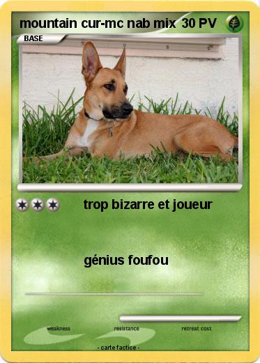 Pokemon mountain cur-mc nab mix