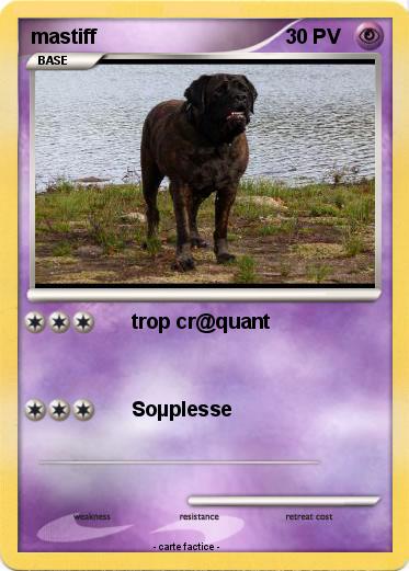 Pokemon mastiff