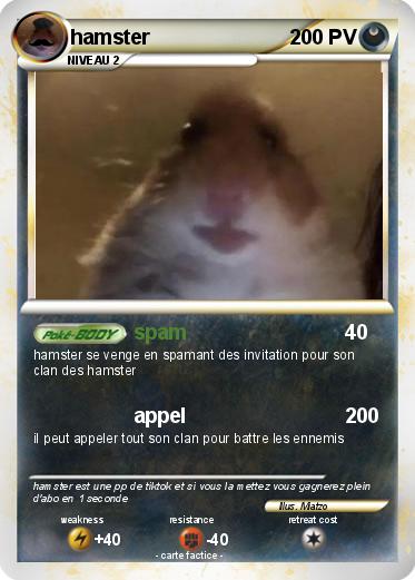Pokemon hamster