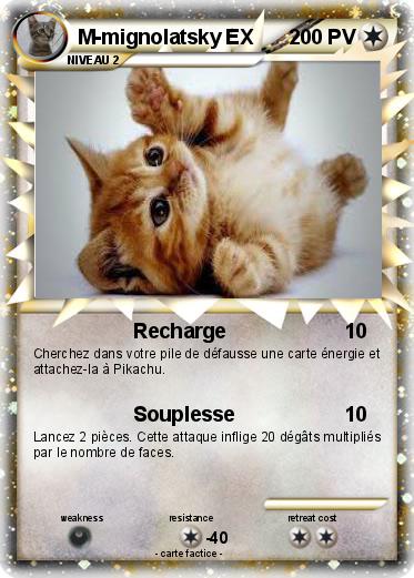 Pokemon M-mignolatsky EX