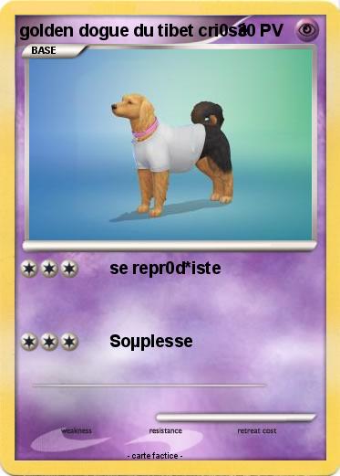 Pokemon golden dogue du tibet cri0sé