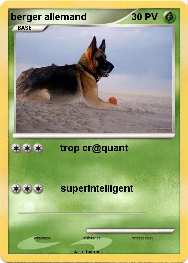 Pokemon berger allemand