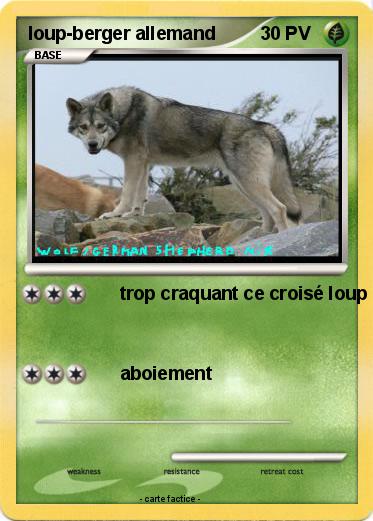 Pokemon loup-berger allemand