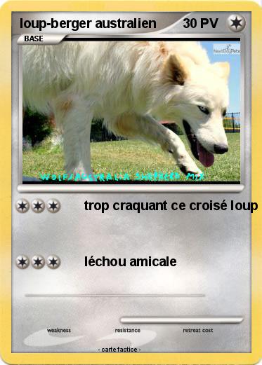Pokemon loup-berger australien