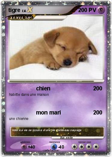 Pokemon tigre