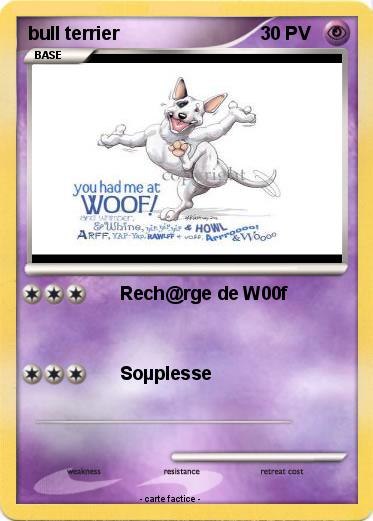 Pokemon bull terrier