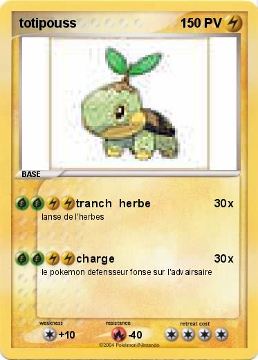 Pokemon totipouss