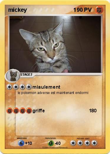Pokemon mickey                               1