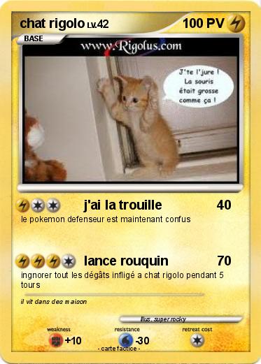 Pokemon chat rigolo