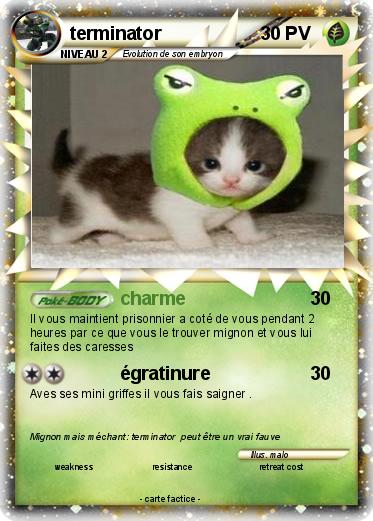 Pokemon terminator