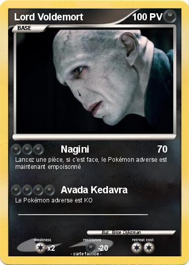 Pokemon Lord Voldemort