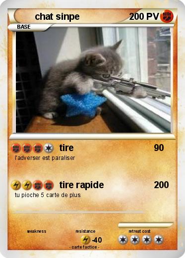 Pokemon chat sinpe