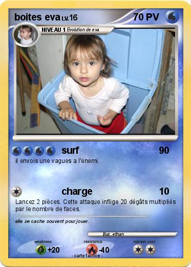 Pokemon boites eva