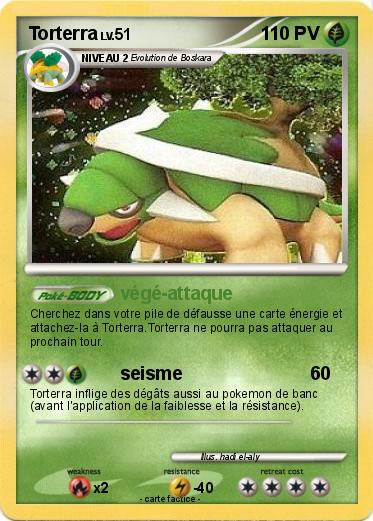 Pokemon Torterra