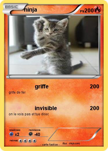 Pokemon ninja